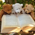 teddy bears reading a book