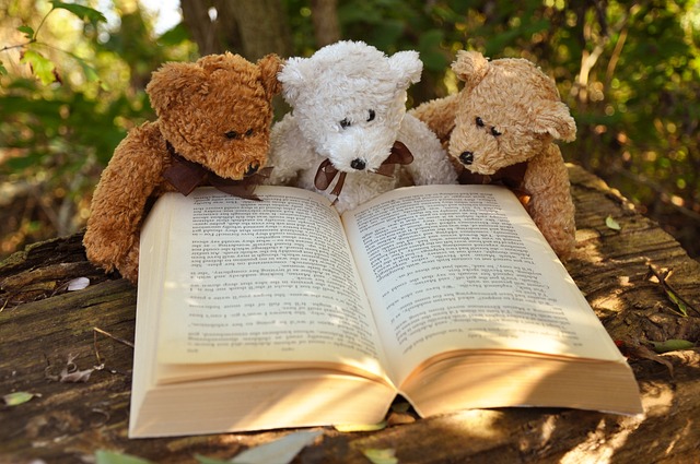 teddy bears reading a book